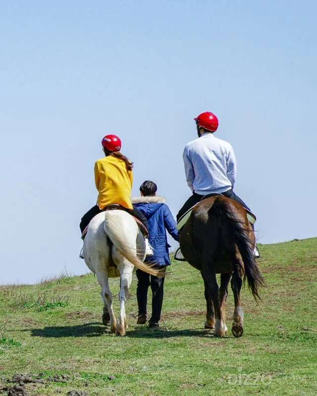 2019042380147_9.jpg?type=w1200