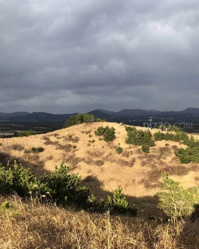 2019021880038_4.jpg?type=w1200