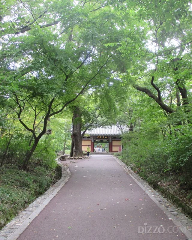 2019071580131_12.jpg?type=w1200