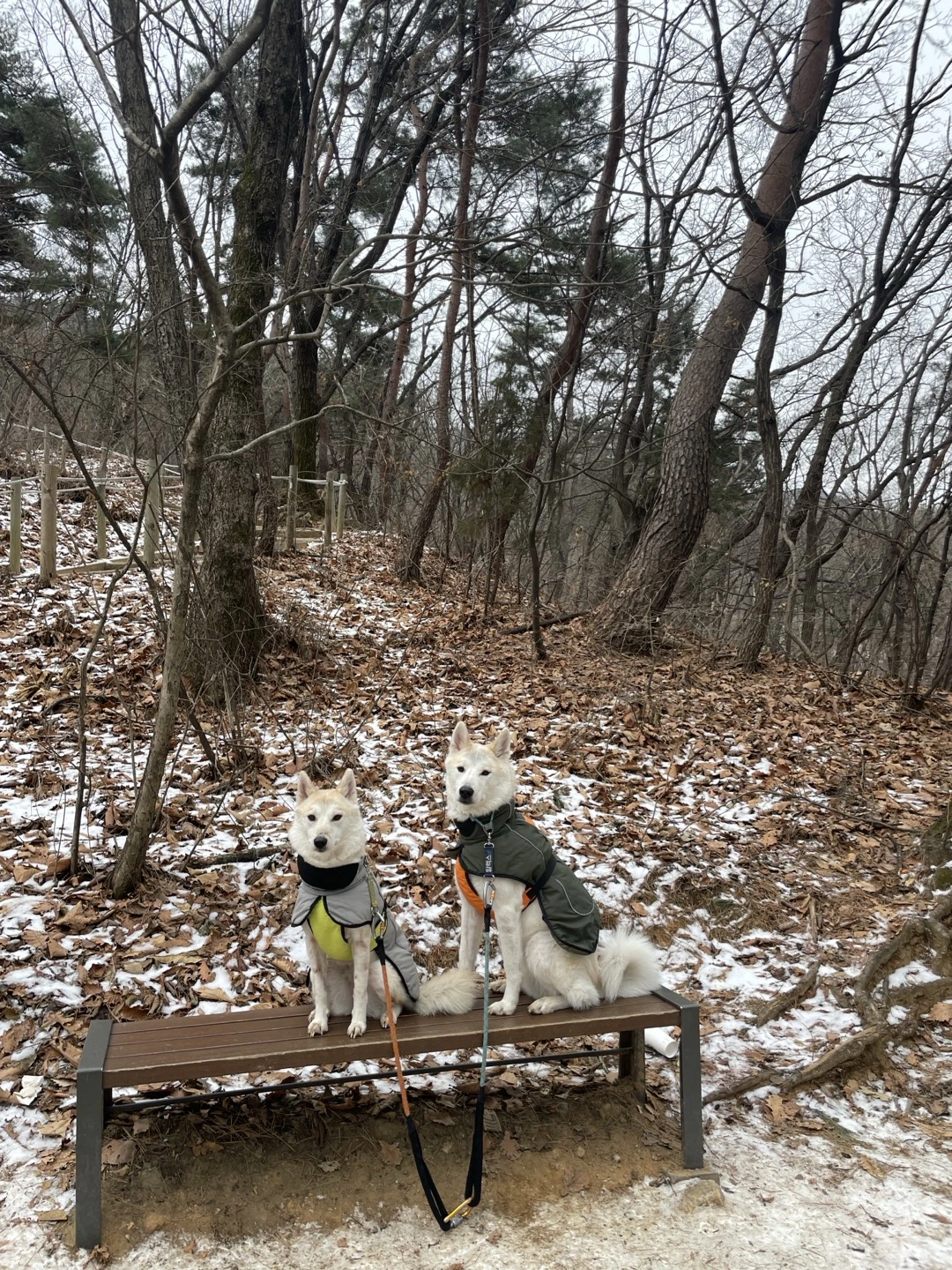 p6VNmYKhm7OaKzABFYCp1DKm5vFK93sPE44bdhSXSNq9Bxg0YNnDEC5nO1REw7qtVCF7mm17h4cpjKKpfh-OWvt9PGWUl01Gs2mUVP5C6mydRGg8zfWaKmKDYeU_5iMemWhUqHaf228PAnMcLouwCQ4