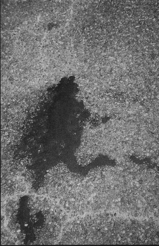 pic200601130027516.jpg?type=w773