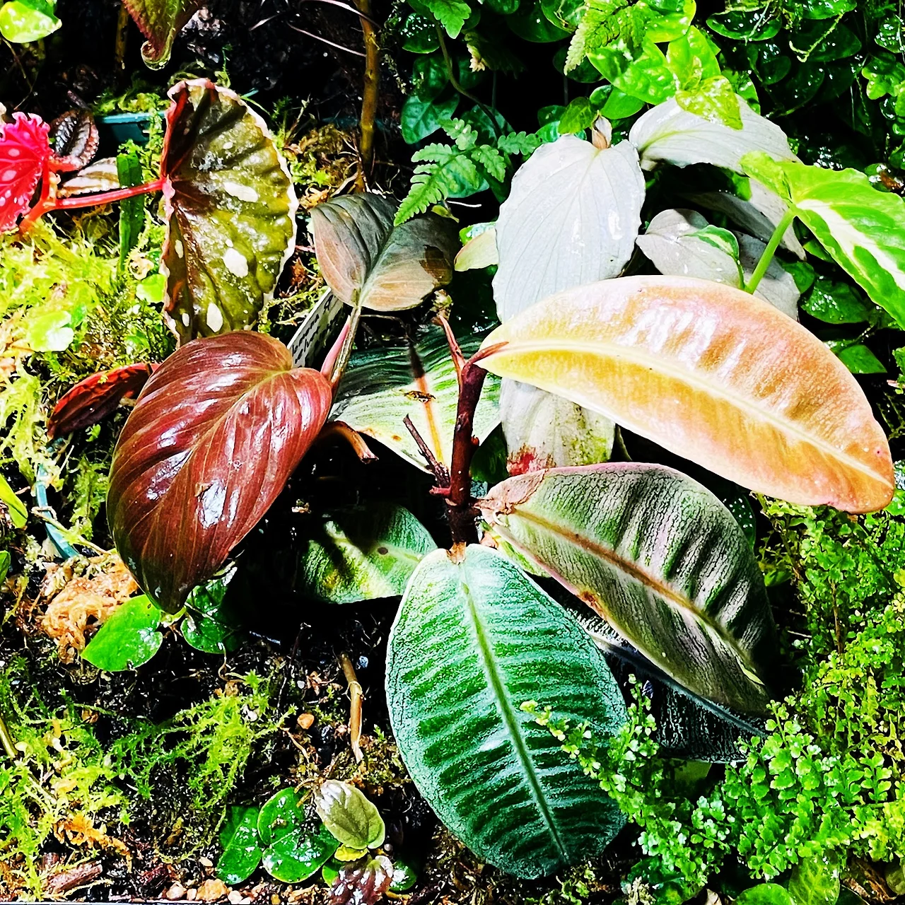 9_0bQlfJe-oPnxqTz1y4SawWuGcoKhp2pm4DZRZ8P5eEissuxaMMrjOVBlYMArXNNxhQRK-RQ580mjSIwhsCXjF5-gqK4KDY8IeligBaZMBHrh5R2aj1yQoRtq4ljUQQAq8i0W9a