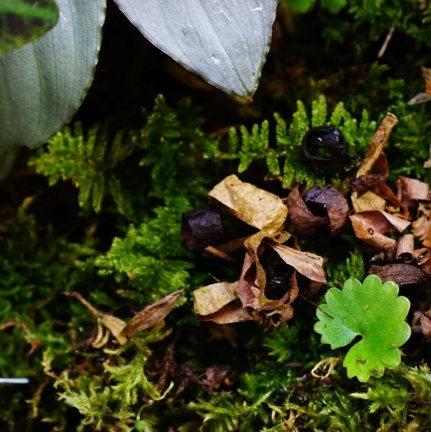 qIFPmfFm10TD2zKS-K0MnRuRMbacvQcpXPzew2RqGc0kk7v4FFLLkqWzdjy0XZPabP_dg9uORbSNaJS-6qMiwRROnuVqTkJfpAtQdcRsPcZqzgKTigQAkAH2u2YwshpzWvIiYwxz