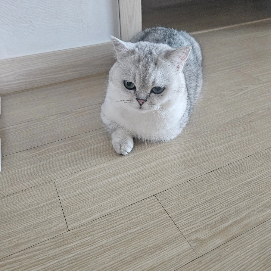 900%EF%BC%BF20250526%EF%BC%BF065140.jpg?type=w1