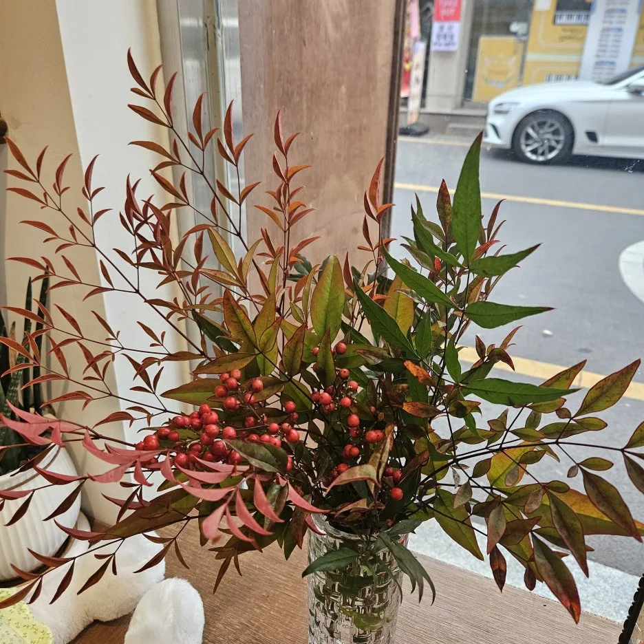 KakaoTalk_20251213_173455459_09.jpg?type=w1