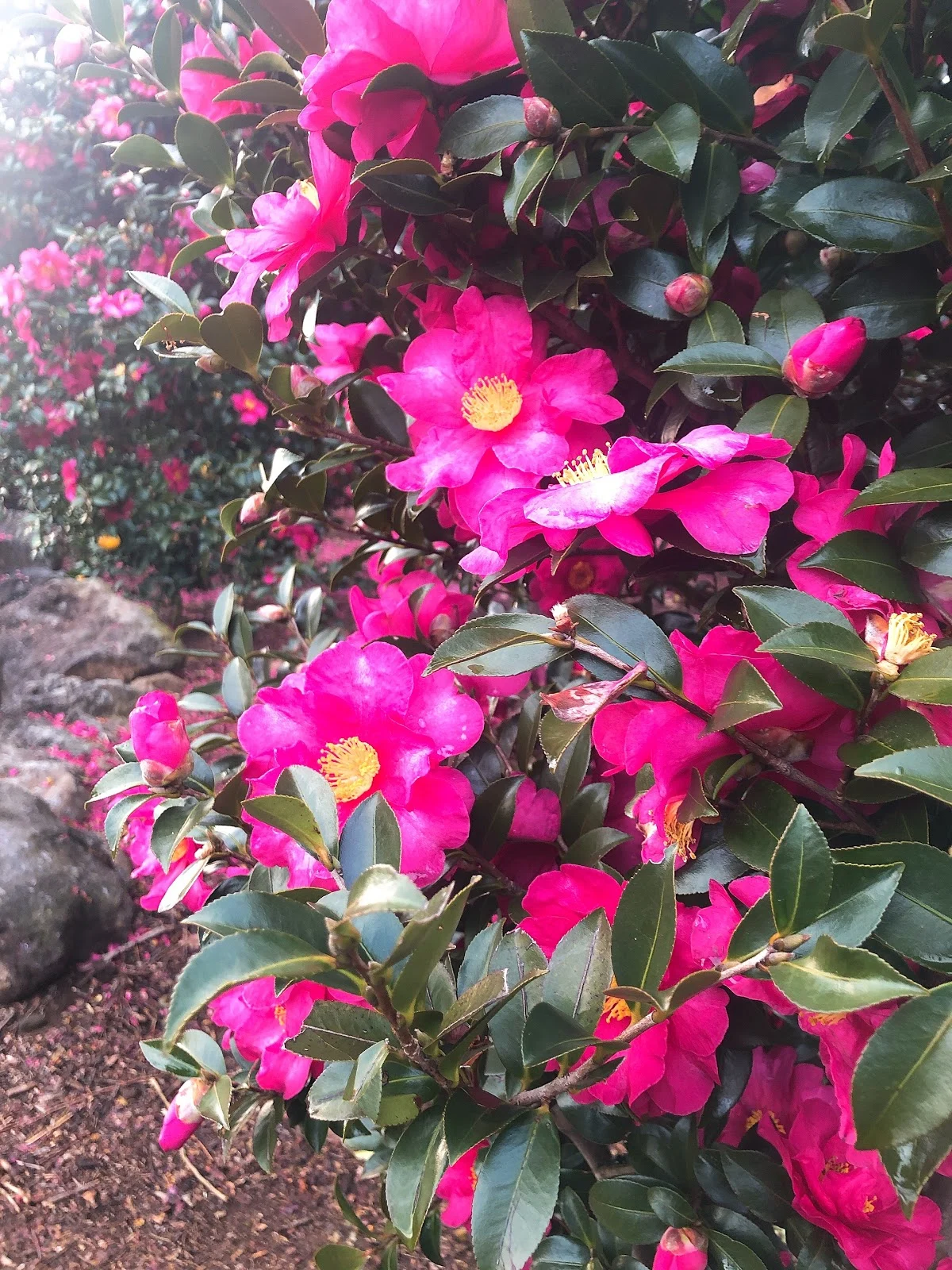 -zbxfAXJQhIEQoAFmRRMt_S0mbzNwX9mf1N0awL5u_FknbkUyeTy24rLV5b4zT9_Jt0pZMDyW-WzeTJU9gg2IWpfHhA31ZhMXF5Pf7iN8PbEMrKUv1EKu-2ksZY05h2WHxPtPGzP