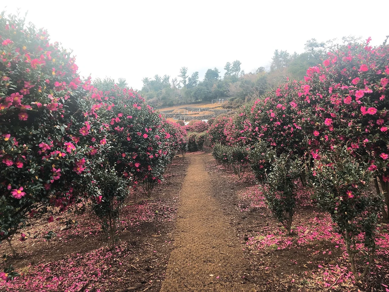 u_PVNQwyZlJWJYraMuY3y0Z8HMWIeMAp2Ew4Qv7PO29BbporHxqn5yGHwkGoD7lozaYn_wgpogYvf52m3ZWb1LKuGqh2-KNKKGOCIctpdArdPYg09JZhPj2ZetahGJSN2BlzMYOz