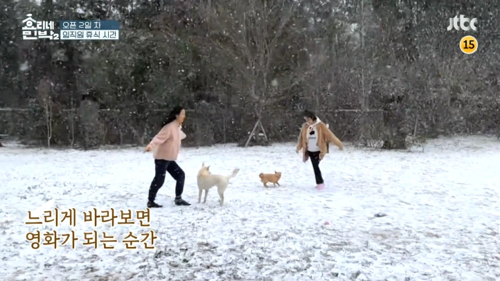 느리게 바라보면 영화가.PNG