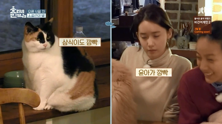 냥님의 인사법.PNG