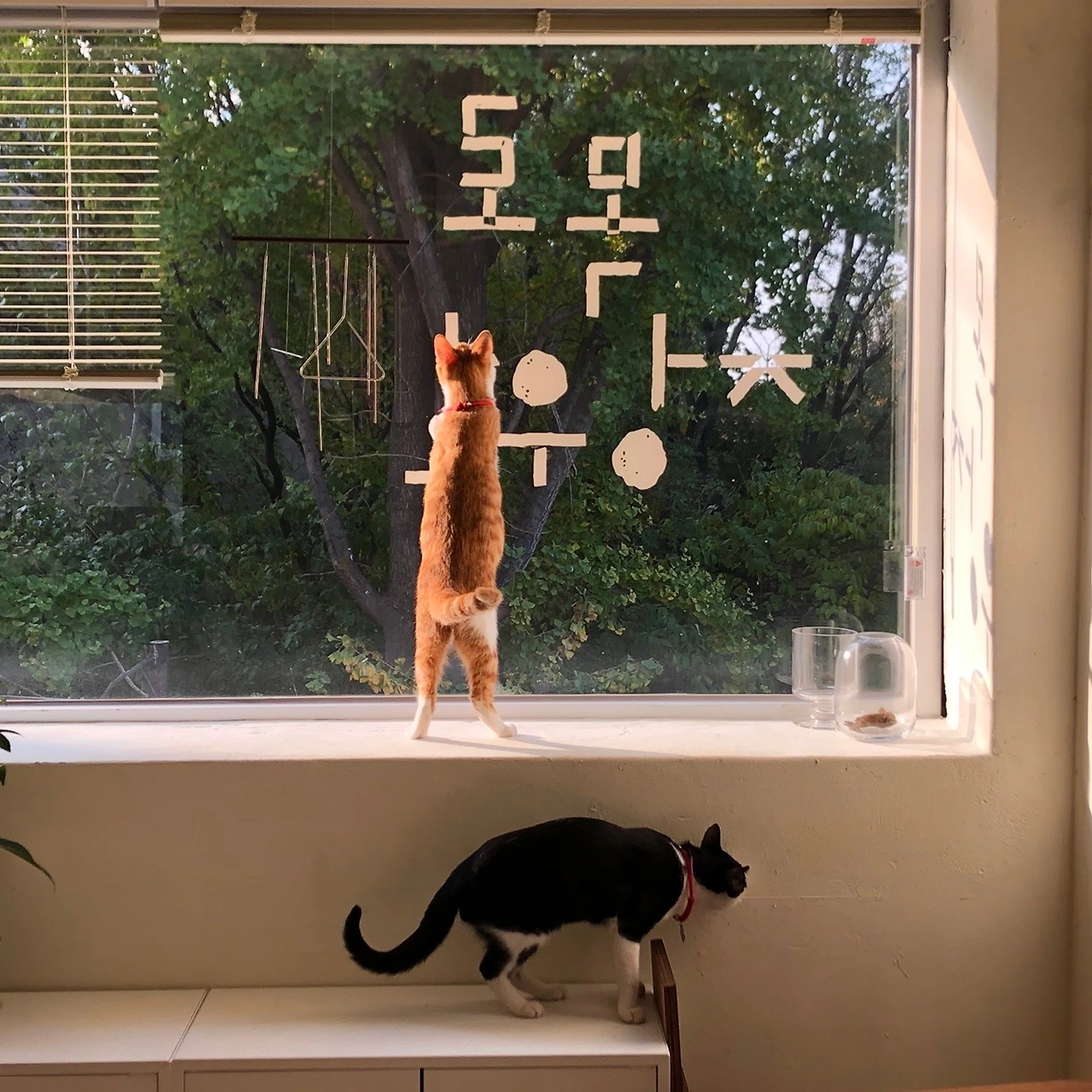 11만복이와 일라미.JPG