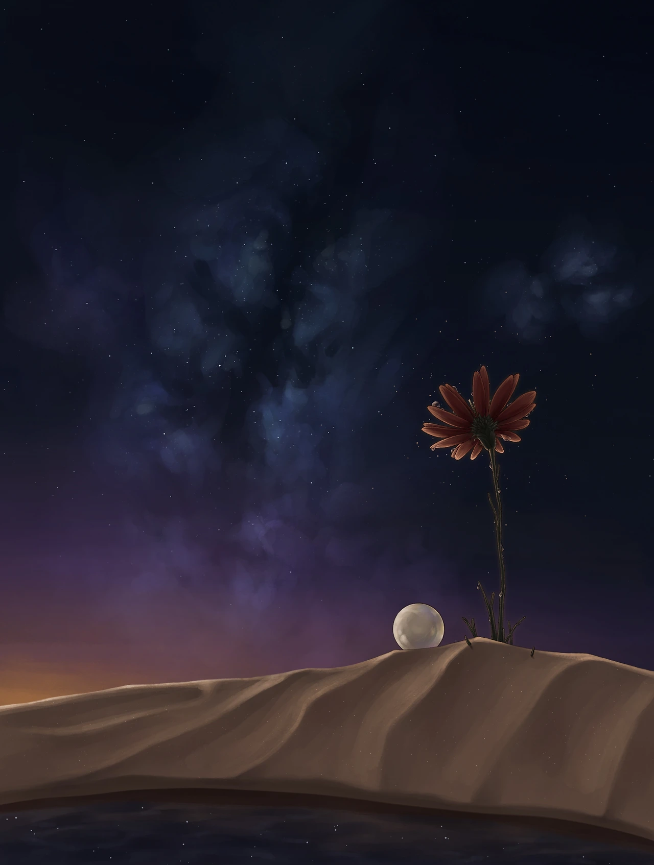 7. 별꽃을따라.JPG