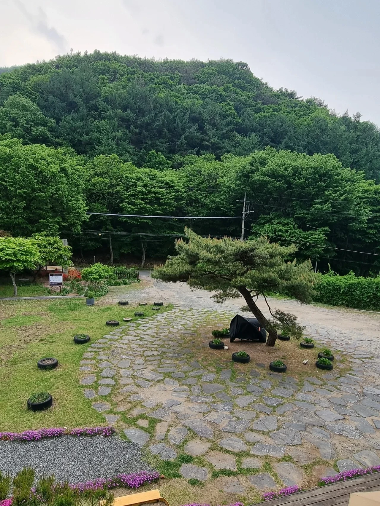 20240430%EF%BC%BF173835.jpg?type=w1600