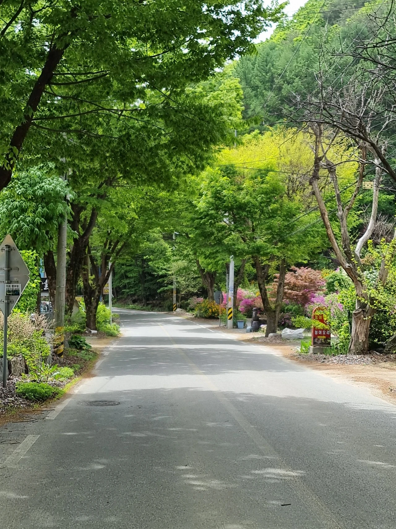 1714308064717.jpg?type=w1600