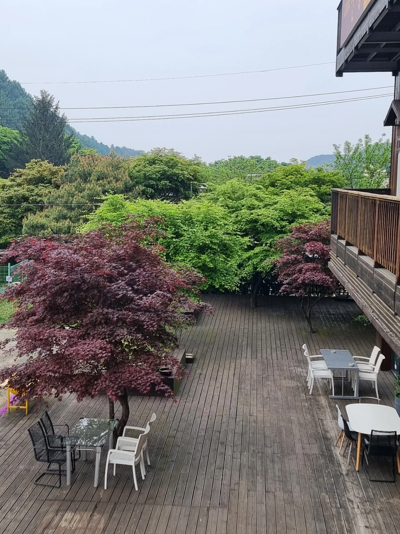 20240430%EF%BC%BF173818.jpg?type=w1600