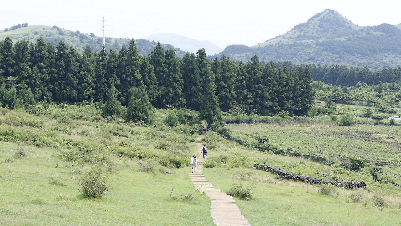 백약이오름 (1).JPG