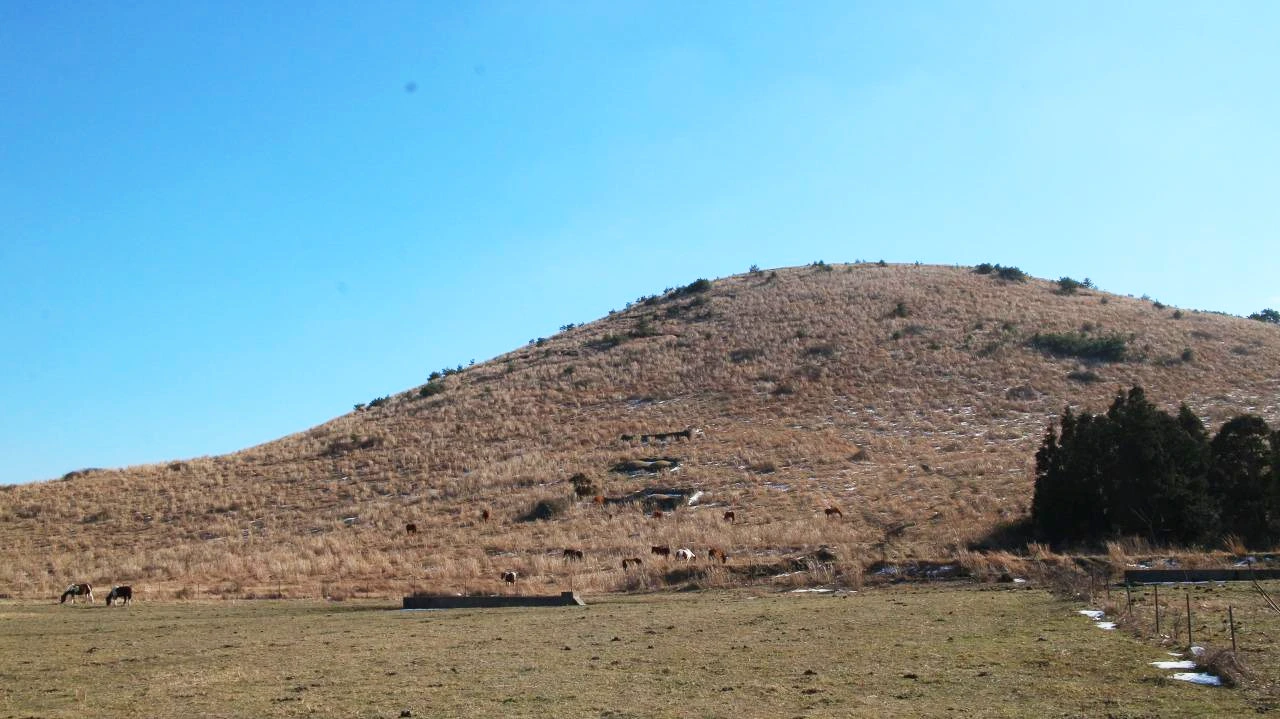 용눈이오름 (2).JPG