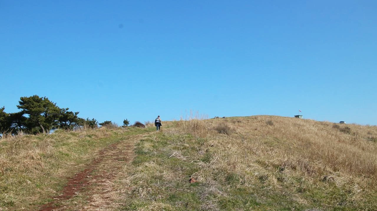 금오름_금악오름 (3).JPG