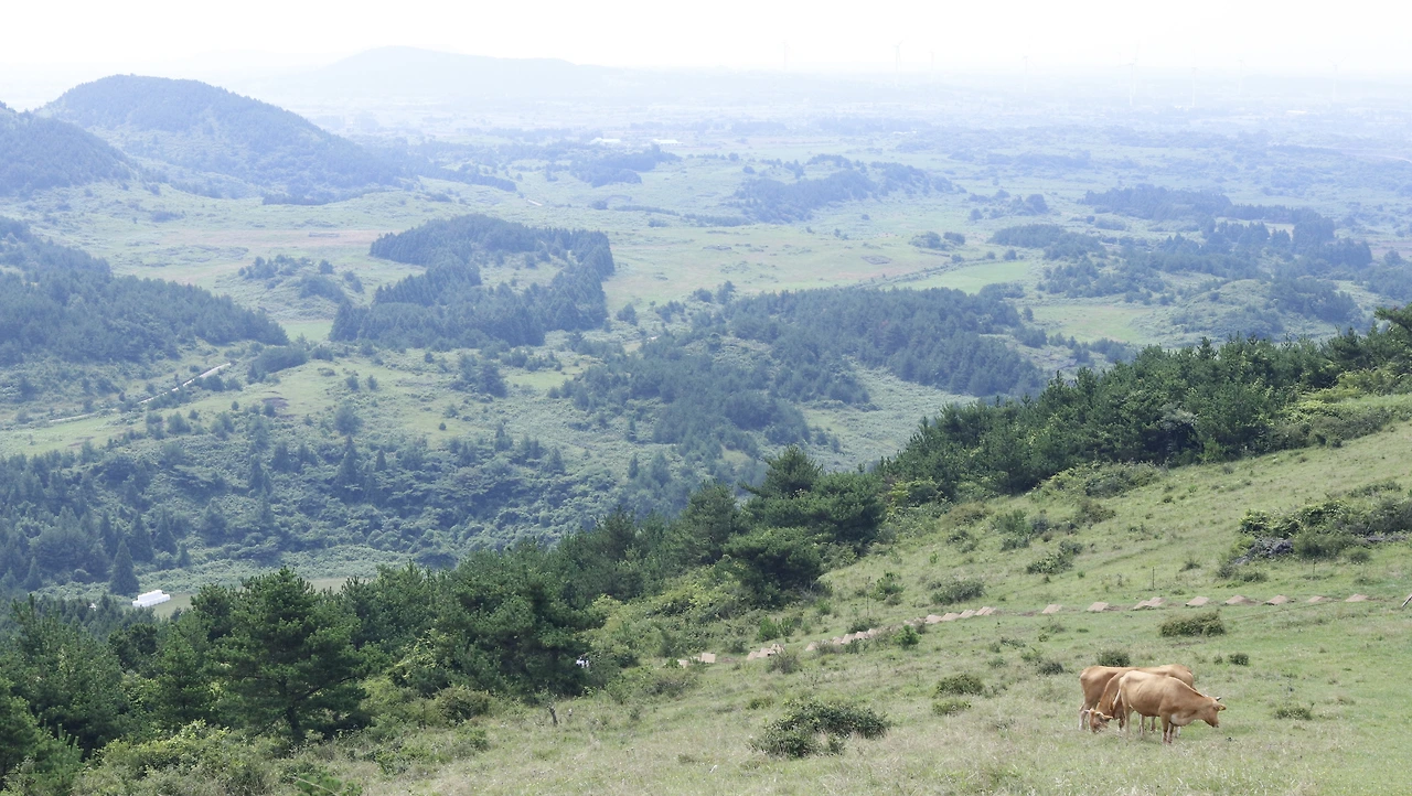 백약이오름 (3).JPG