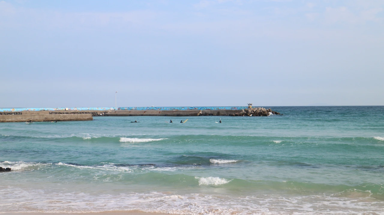 월정리 로와 (2).JPG