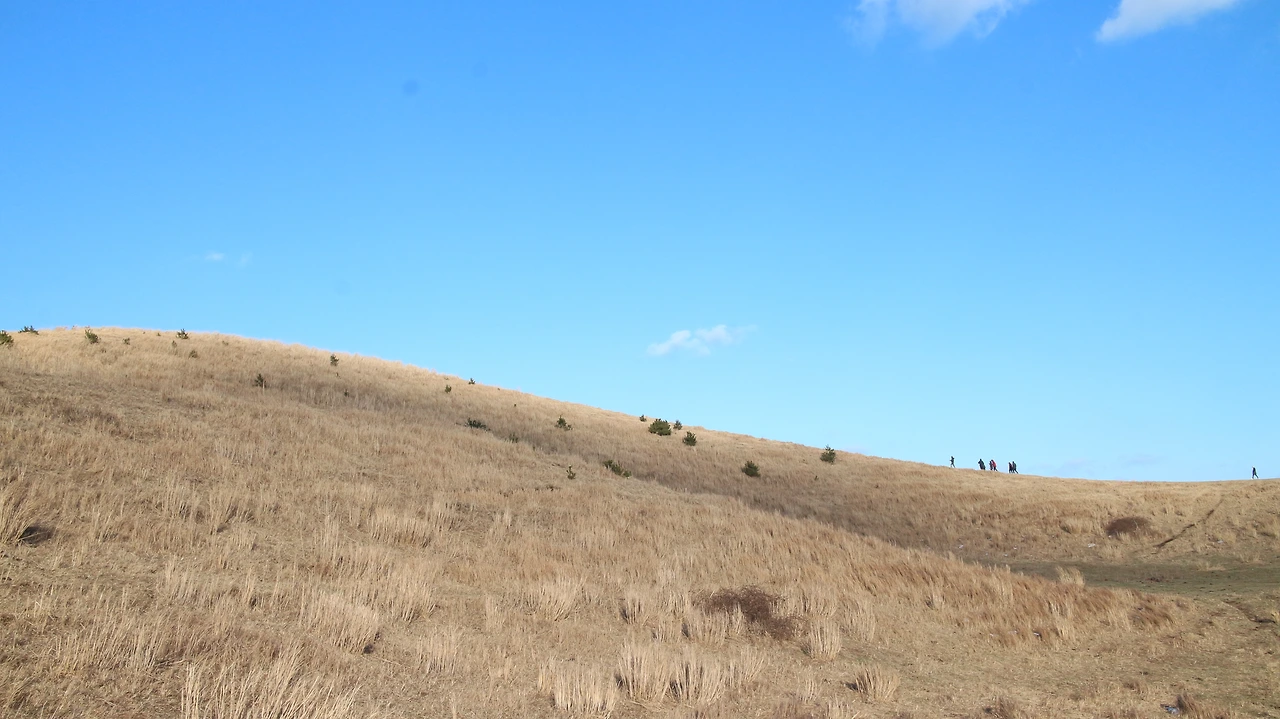 용눈이오름 (3).JPG