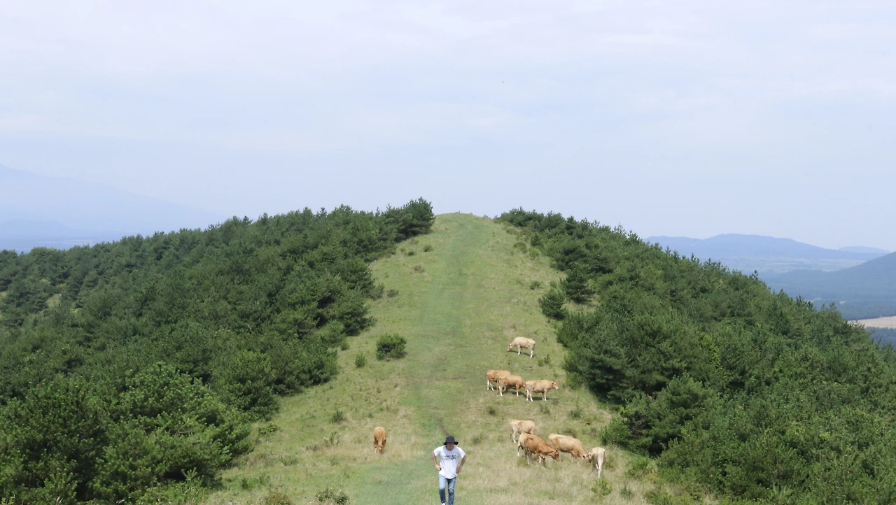 백약이오름 (2).JPG