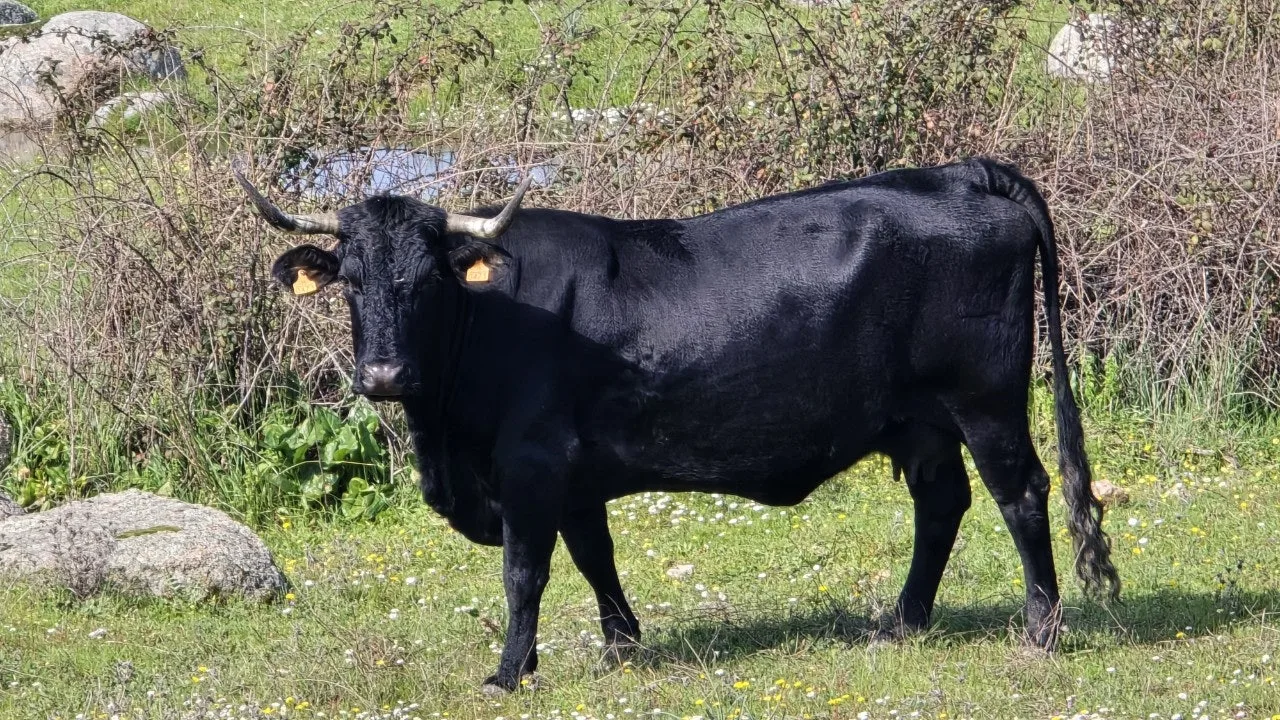 a_agdUd018svc1sooe9j6y49zy_towmqu.jpg?type=e1920_std