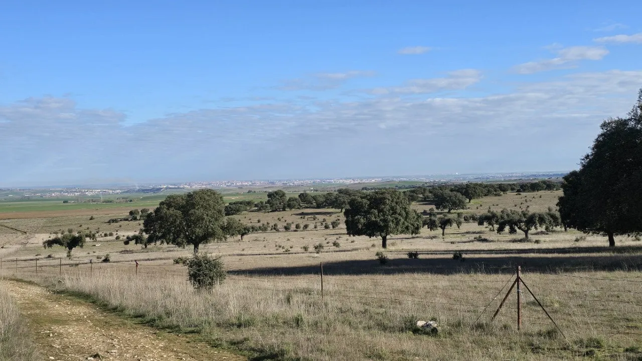 5_ed5Ud018svc1vliedxf8ws0n_towmqu.jpg?type=e1920_std