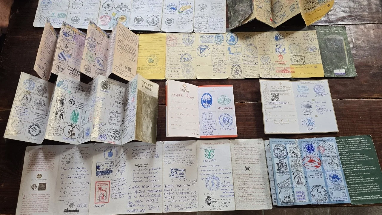 5_82gUd018svcfq9dmaap6as7_towmqu.jpg?type=e1920_std