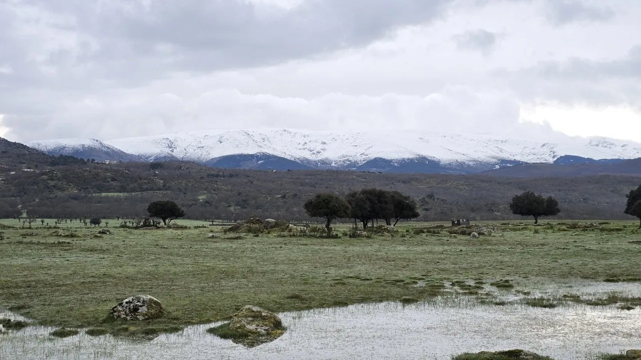 a_iiaUd018svc5dfef0qkm3gt_towmqu.jpg?type=e1920_std