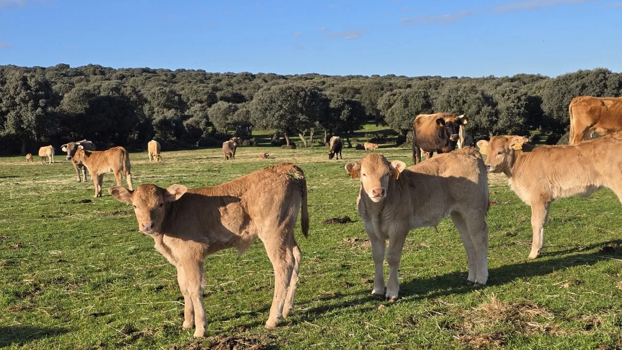 i_bcfUd018svc18yitfhc3rygv_towmqu.jpg?type=e1920_std