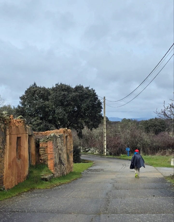 5_j2gUd018svcnb8ohhwy26kg_towmqu.jpg?type=e1920_std