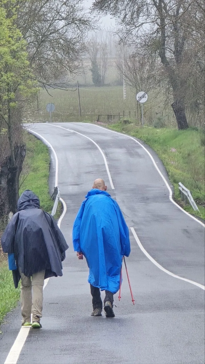 j_827Ud018svc1n6d59rjbsete_towmqu.jpg?type=e1920_std