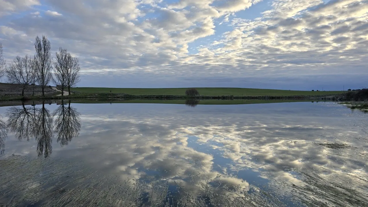 i_1cfUd018svc1eg1et4ozdsbh_towmqu.jpg?type=e1920_std