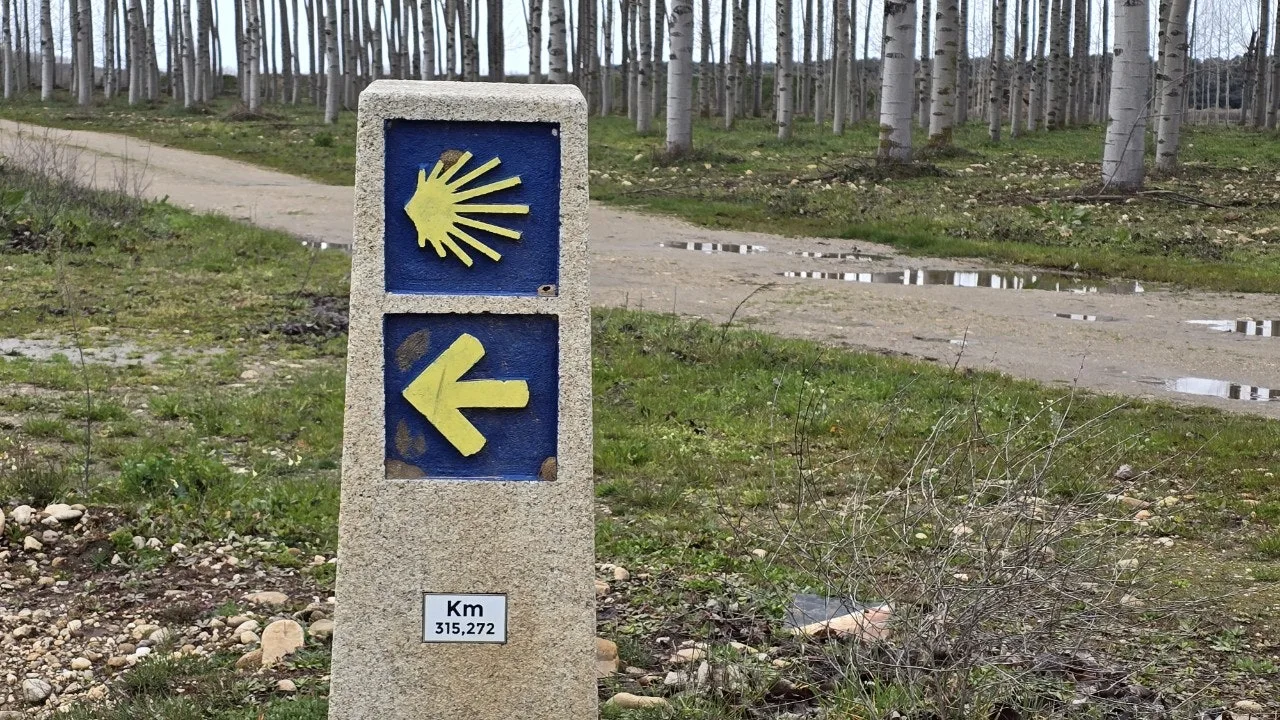 5_f2gUd018svc17ek0rpr32hcj_towmqu.jpg?type=e1920_std