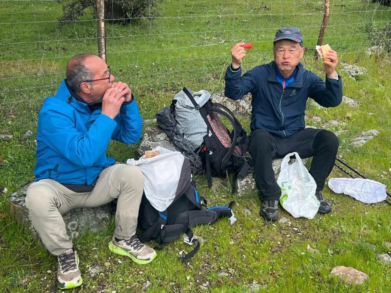 4_j3hUd018svcvynmoo34odyc_towmqu.jpg?type=e1920_std