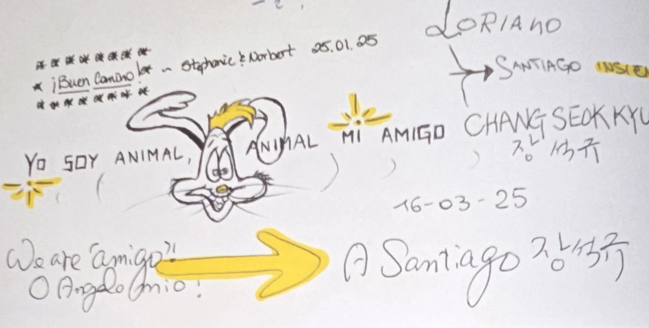 6_g0aUd018svc11smla5qlz5vx_towmqu.jpg?type=e1920_std