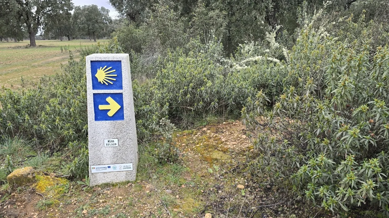 3_dicUd018svc4ojbls5kq0lh_towmqu.jpg?type=e1920_std