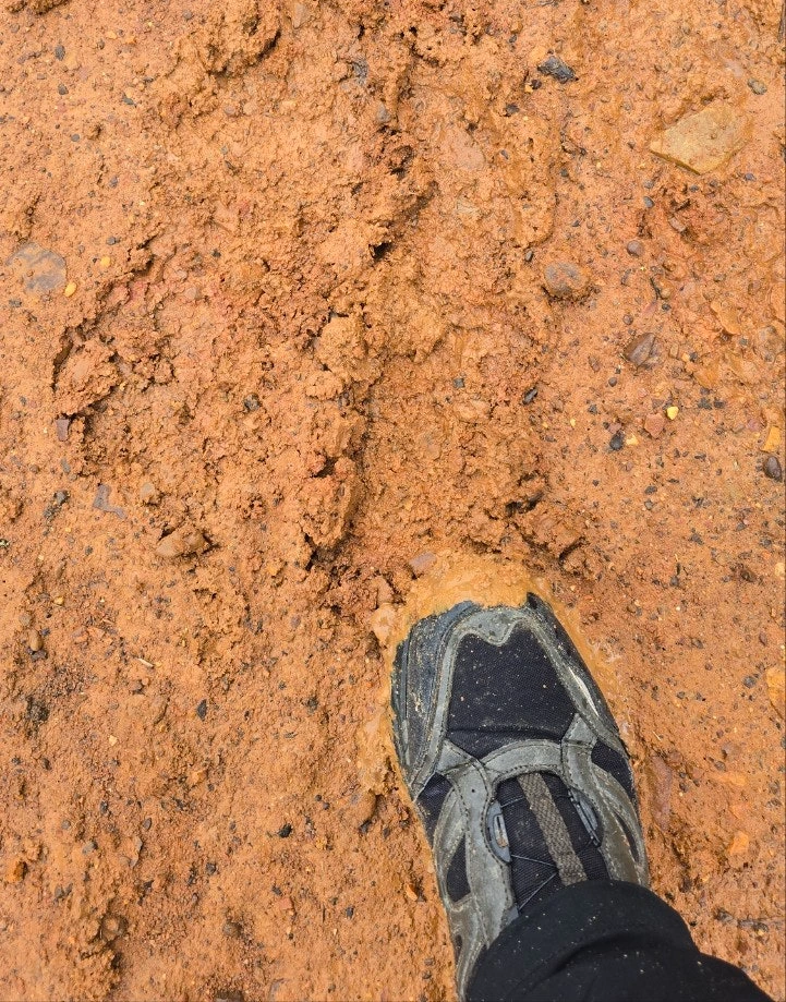 0_2i2Ud018svc1gfvc81kac13e_towmqu.jpg?type=e1920_std