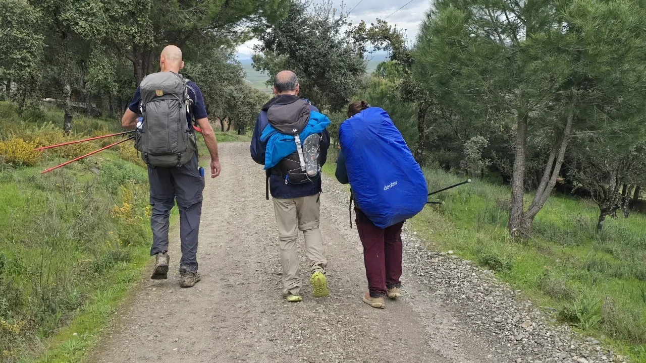 b_8i7Ud018svcw959vjeqwzrf_towmqu.jpg?type=e1920_std