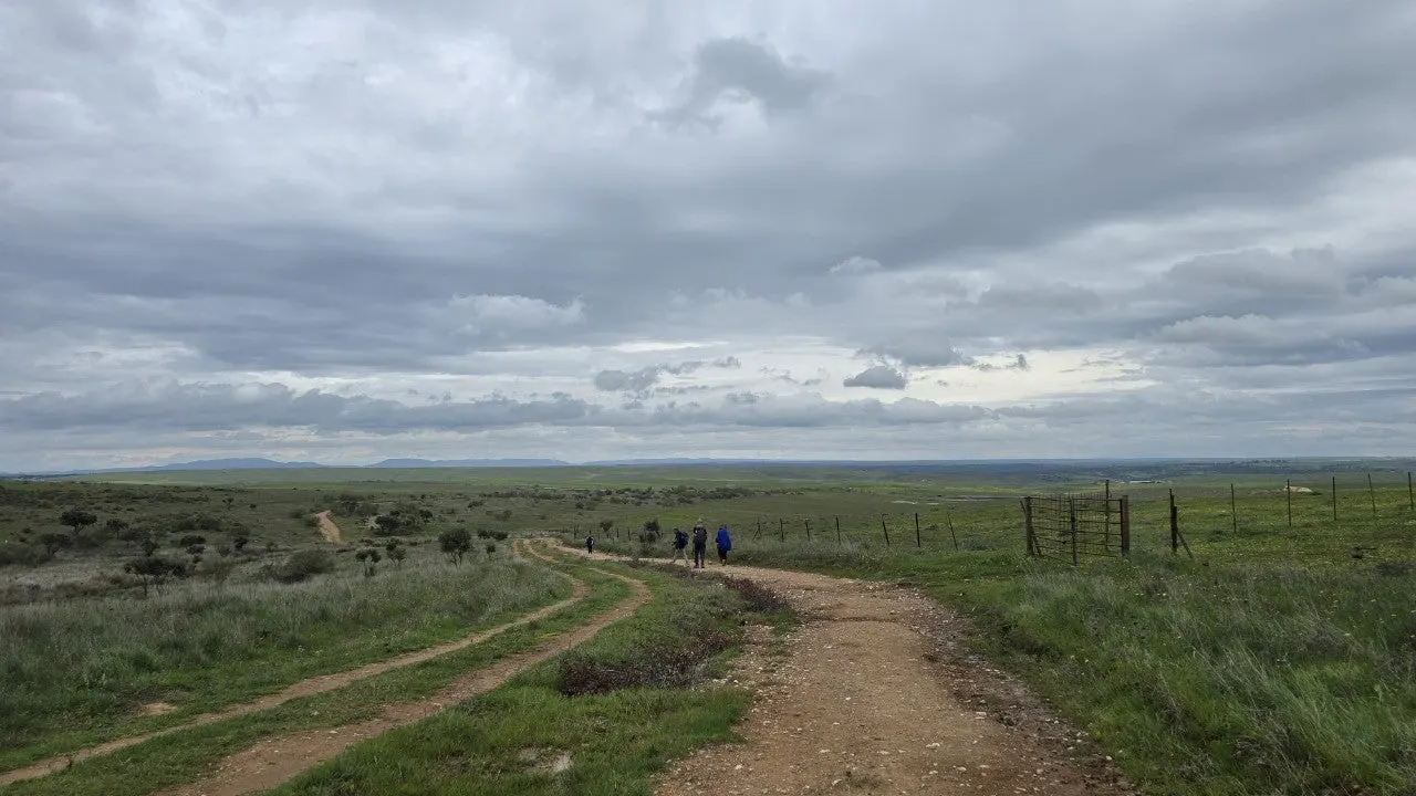 h_7i9Ud018svc9jei20uit12p_towmqu.jpg?type=e1920_std