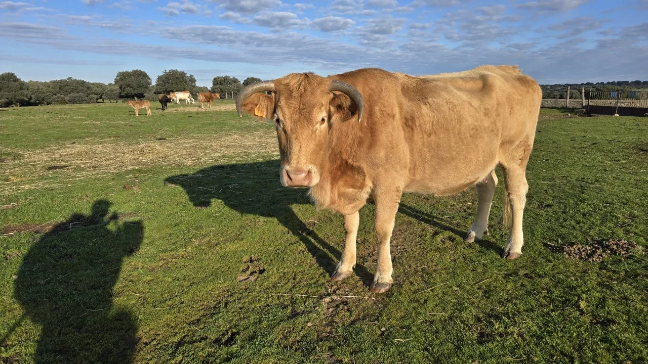 i_7cfUd018svck9rhz78gsk2d_towmqu.jpg?type=e1920_std