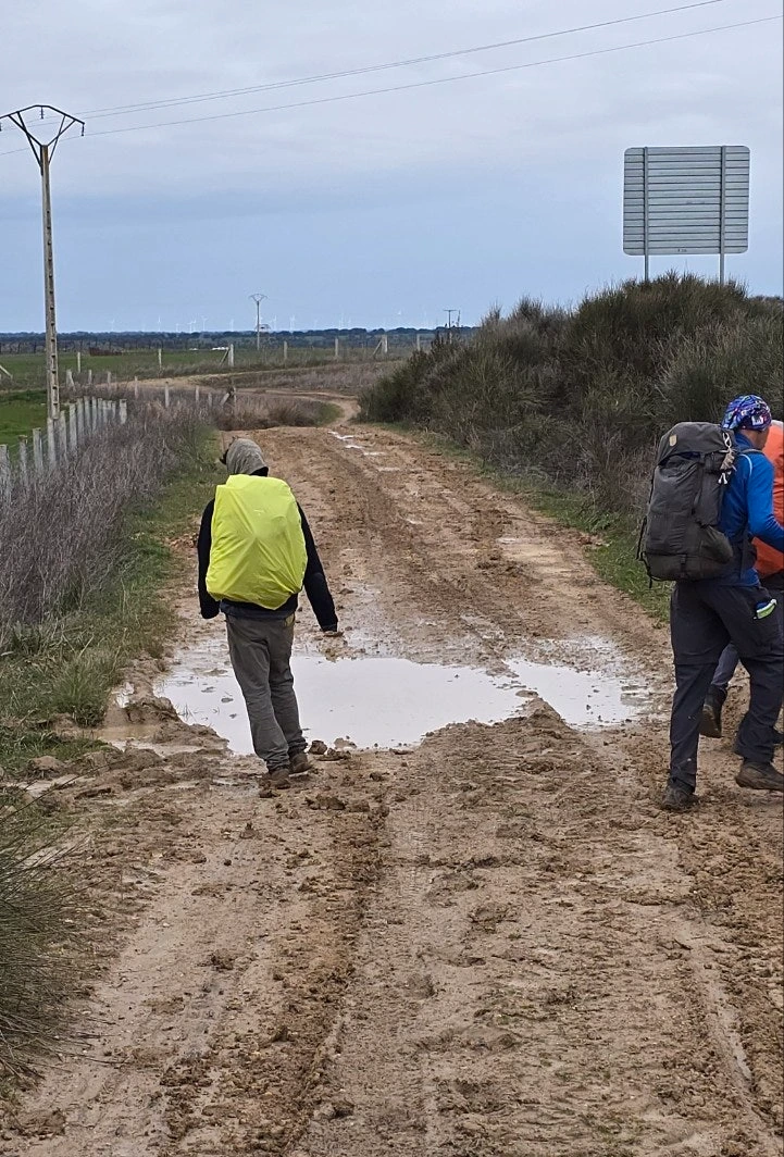 a_i78Ud018svc2pf9oho4yt1y_towmqu.jpg?type=e1920_std