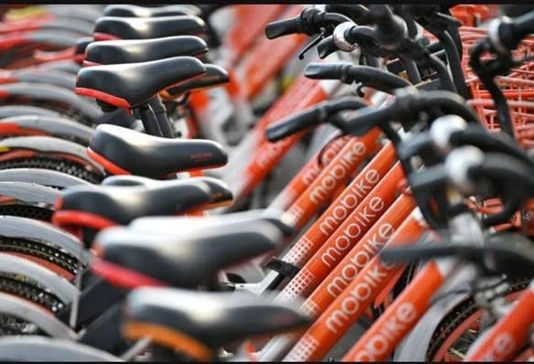 IMG_4240.JPG?type=w773