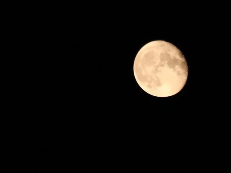 IMG_3014.JPG?type=w773