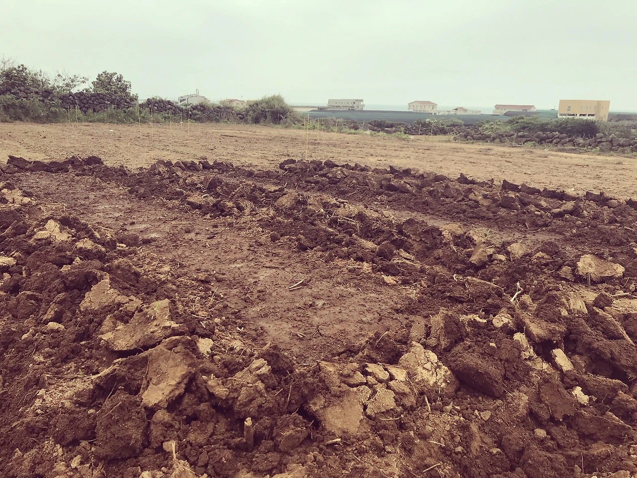 두둑의 높이를 높이며 물길을 내어주었다.JPG