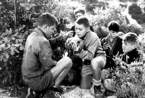 c_iacUd018svc1nuj2qllak07_trgkg0.jpeg?type=e1920_std