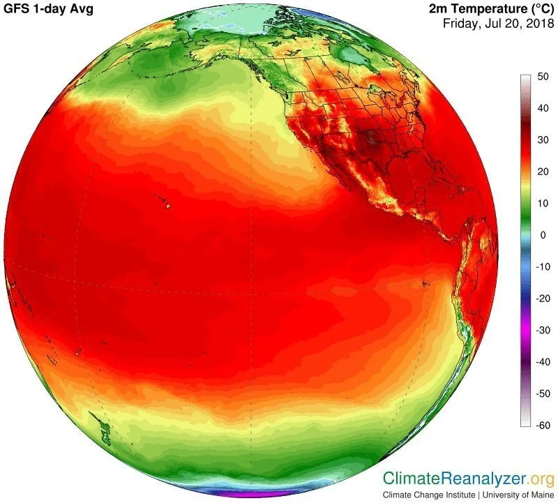 KakaoTalk_20180731_111552562.jpg?type=w1200