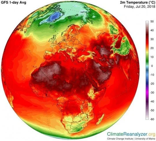 KakaoTalk_20180731_111552198.jpg?type=w1200