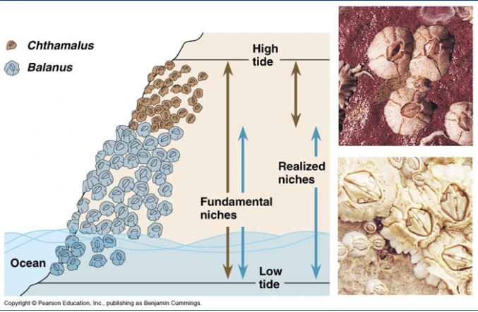 2021-07-25 14;51;21.PNG