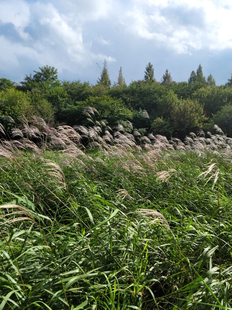 KakaoTalk_20221010_142029868.jpg?type=w773